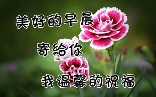 早上好,美好一天从“早上好”开始